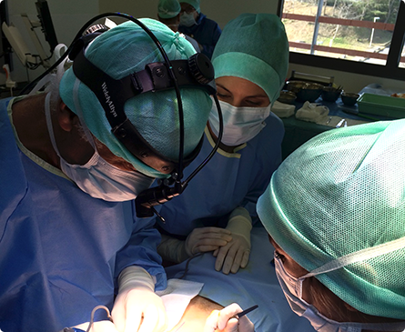 Dr. Anissa Belkhou, neue Referenz-Chirurgin in Lille (Frankreich)