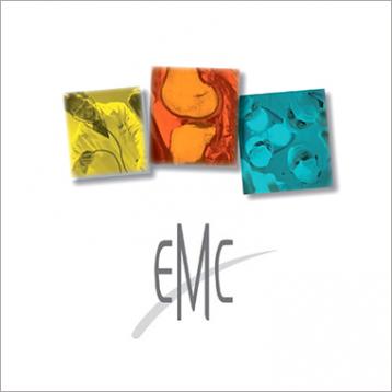EMC - Chirurgia semplificata del pectus excavatum con impianti su misura concepiti con il computer
